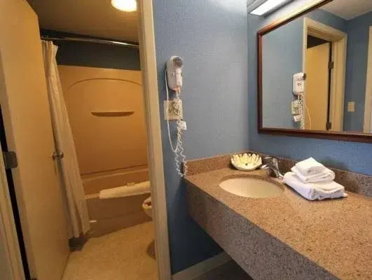 Cedar Point's Sandcastle Suites - Général