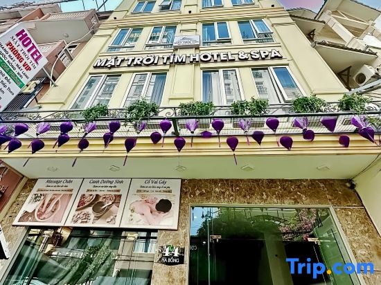 Purple Sun Apartment & Spa Da Nang — фото 1