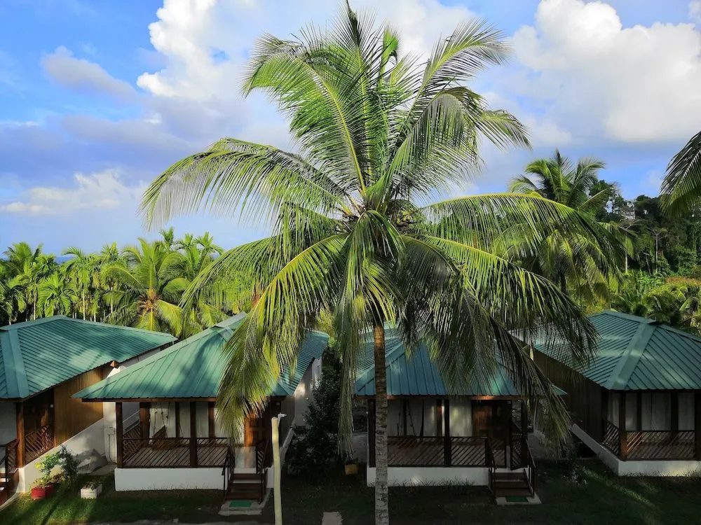 Rainforest Resort