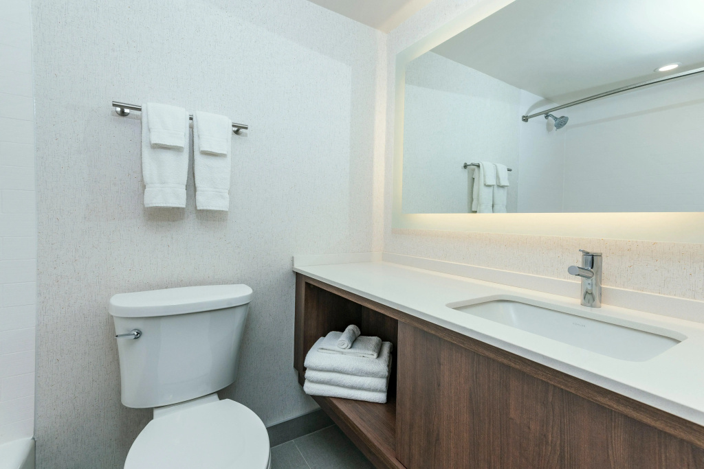 Holiday Inn Kingston Waterfront by IHG - Général