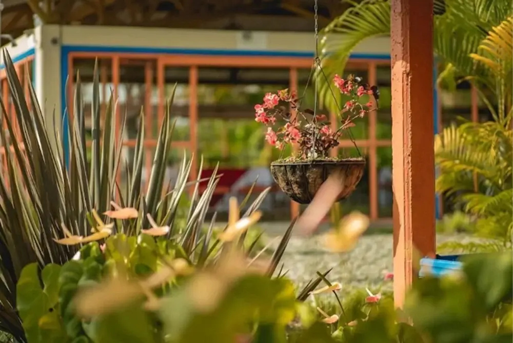 Hotel Campestre Tacurrumbi - Chambres