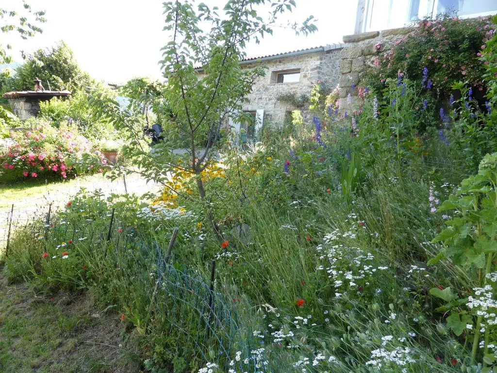 Image 14