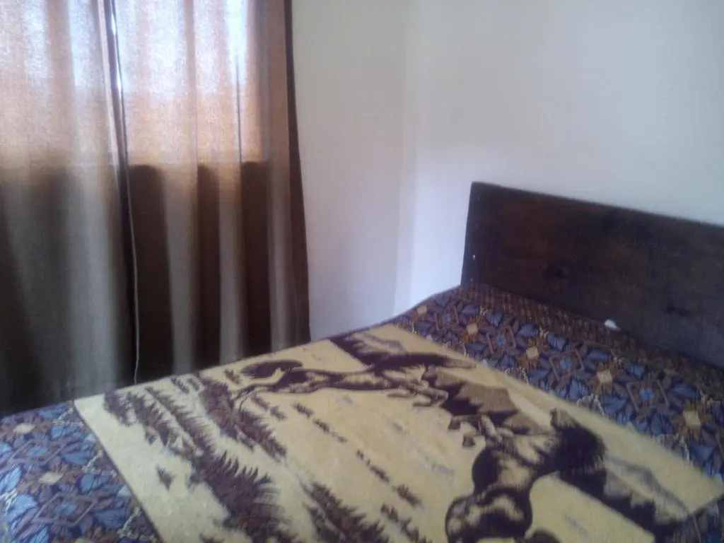 Deluxe Double room (full double bed)