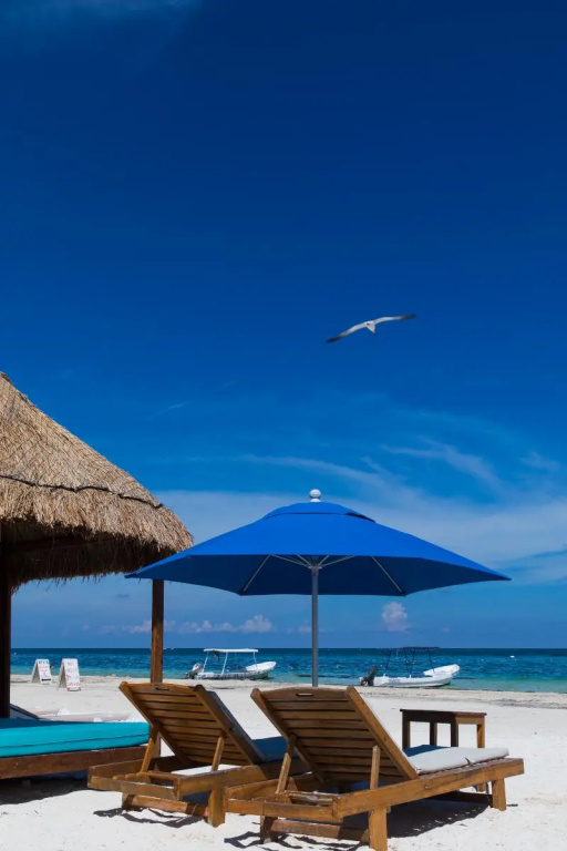 Beach & Waterfront