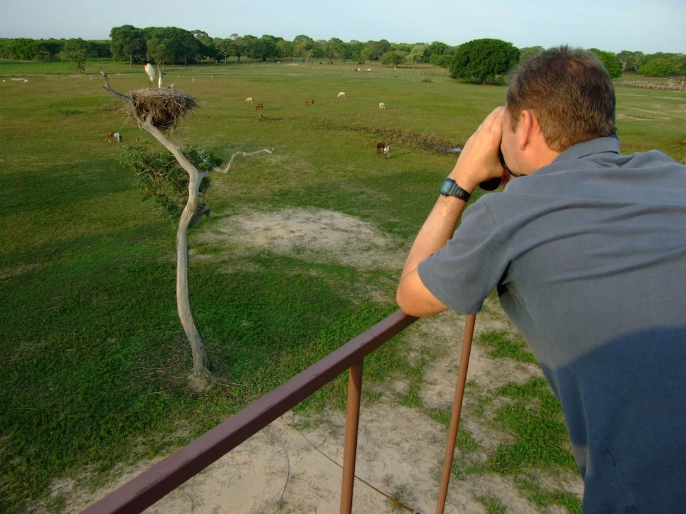 SouthWild Pantanal Lodge