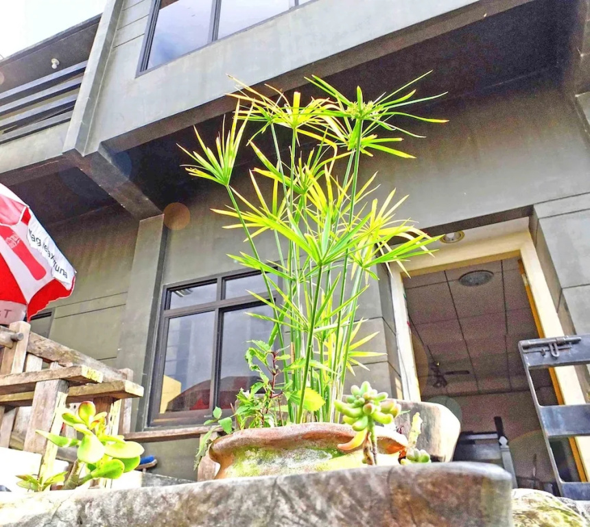 Baguio Traveller's House