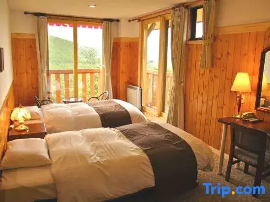 Standard Double room with mountain view twin beds