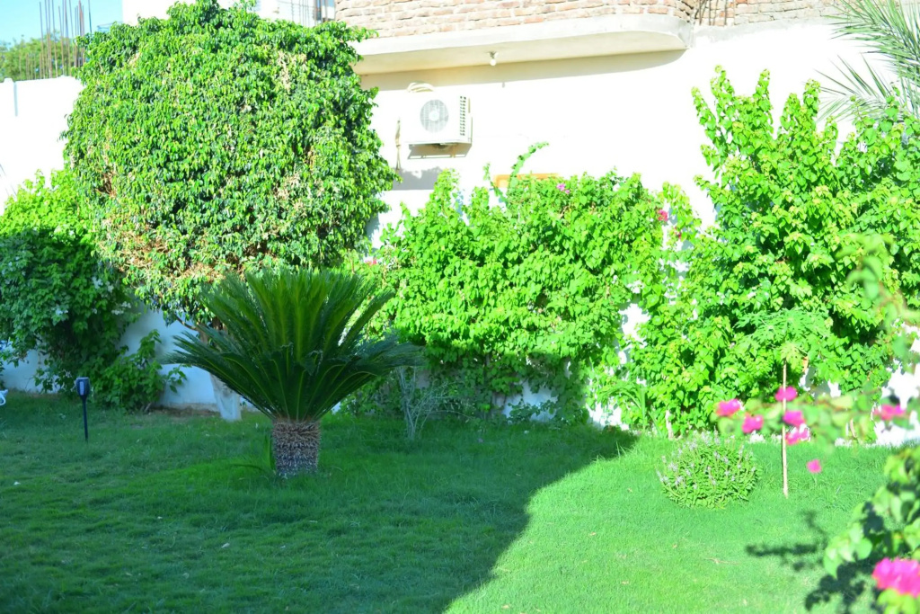 Luxor Rose Villa