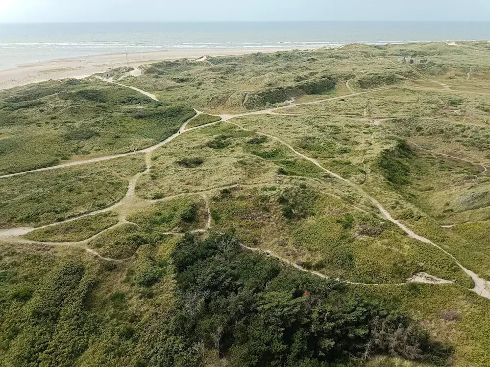 6 Person Holiday Home in Blavand