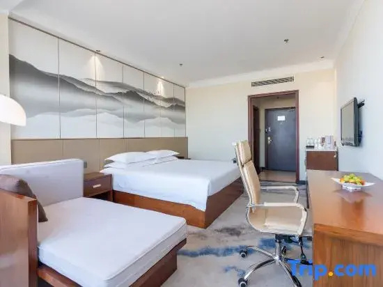Standard Double room with city view (full double bed)