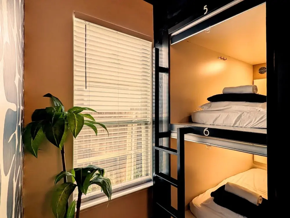 Bed in Dorm