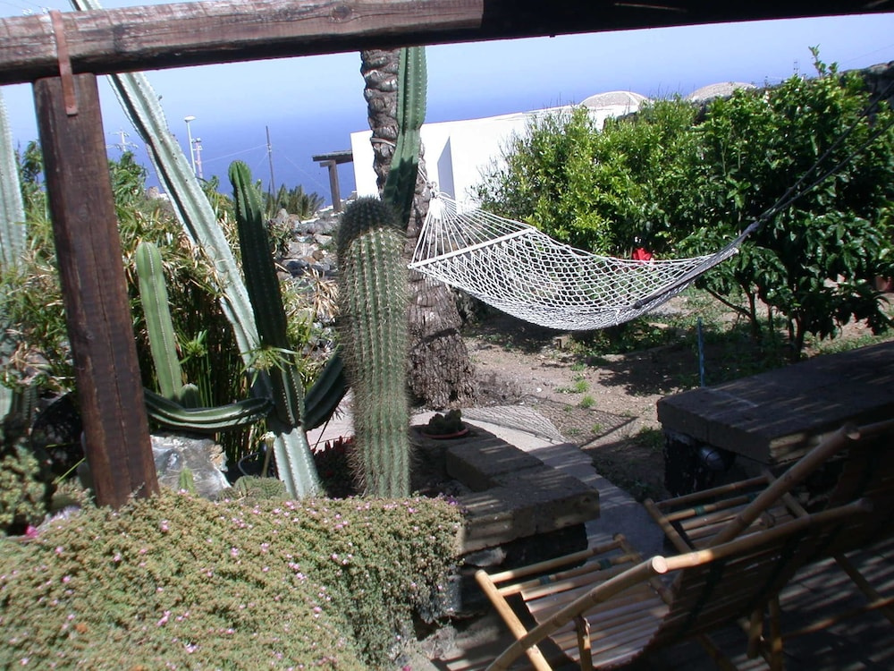 Hotel photo 37
