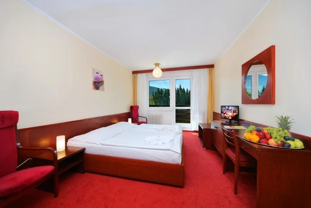 Wellness hotel Svornost - Général