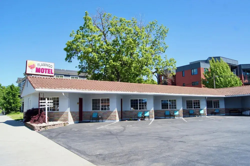 Flamingo Motel by null