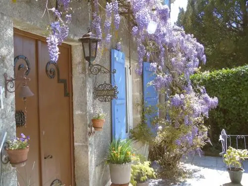 Afficher la photo 8 — Manoir Camélia