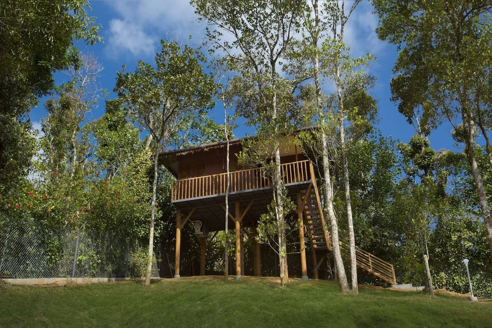 Premium Cottage