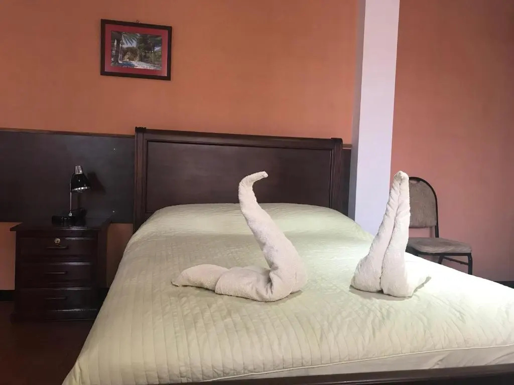 Standard Double room (full double bed)