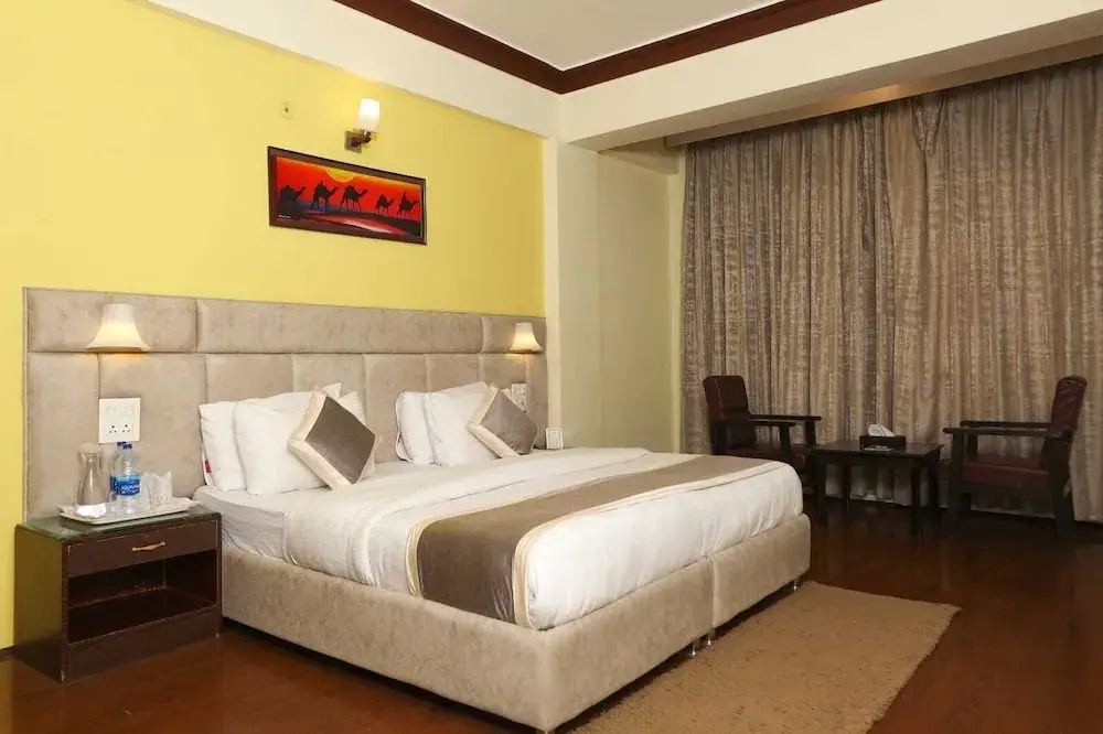 Zojila Residency - Chambres