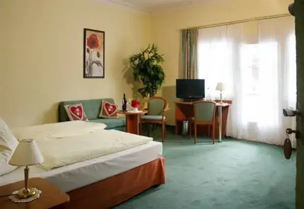 Hotel photo 12