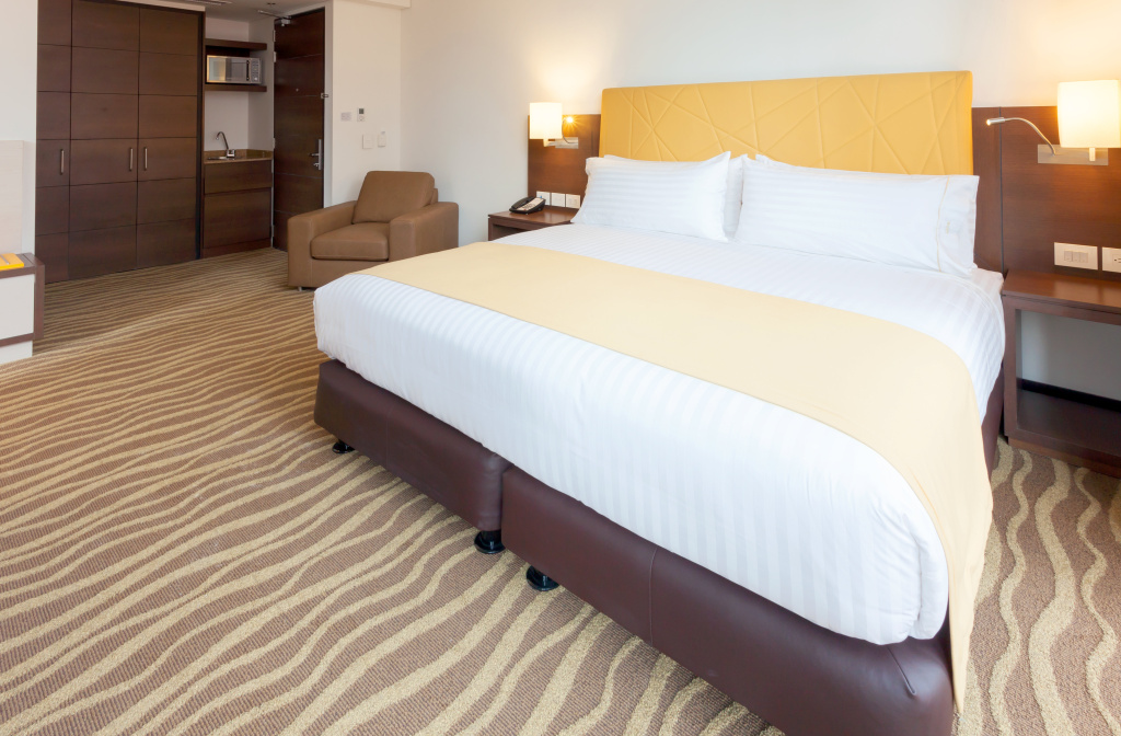 Holiday Inn Express & Suites Bogota DC - Général