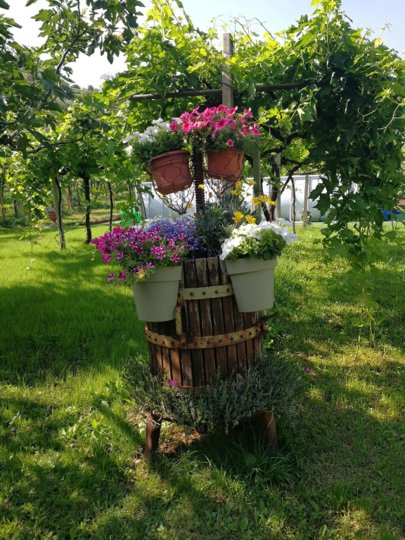 B&B Pontesello