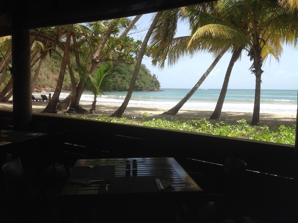 Beach & Waterfront