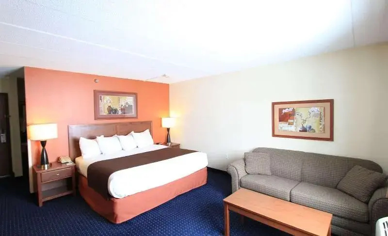 Luxury Suite