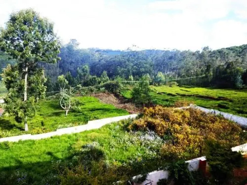 Joy Home Stay