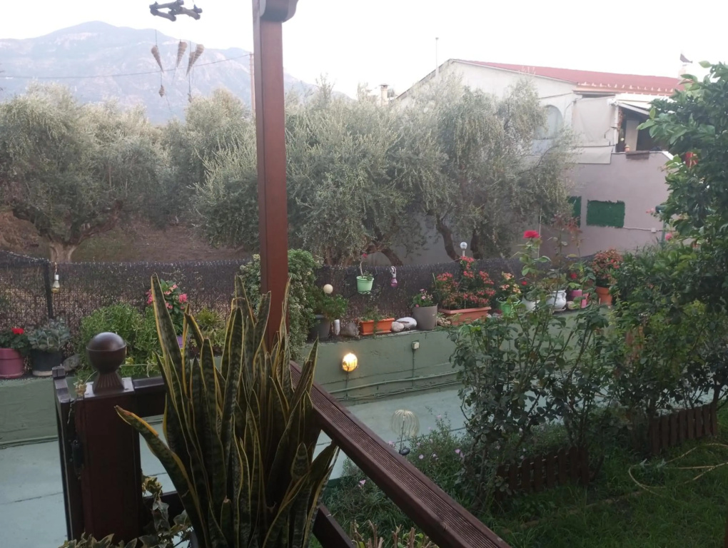 Anna's bella casa