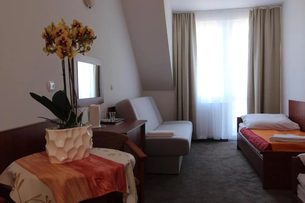 Standard Double room (full double bed)