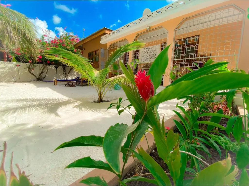 Villa Orchid Beach Guest House