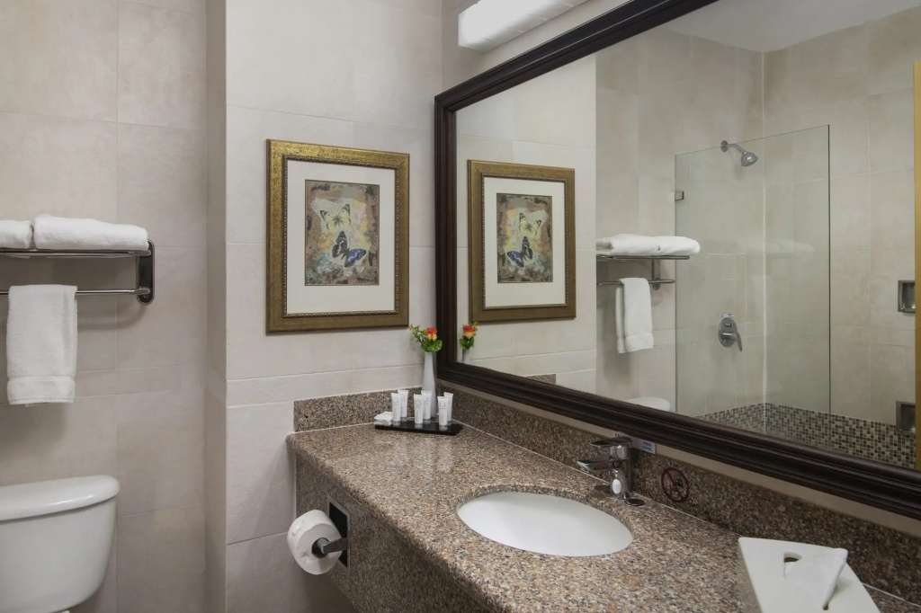 Hodelpa Garden Suites Golf & Convention Center - фото 7