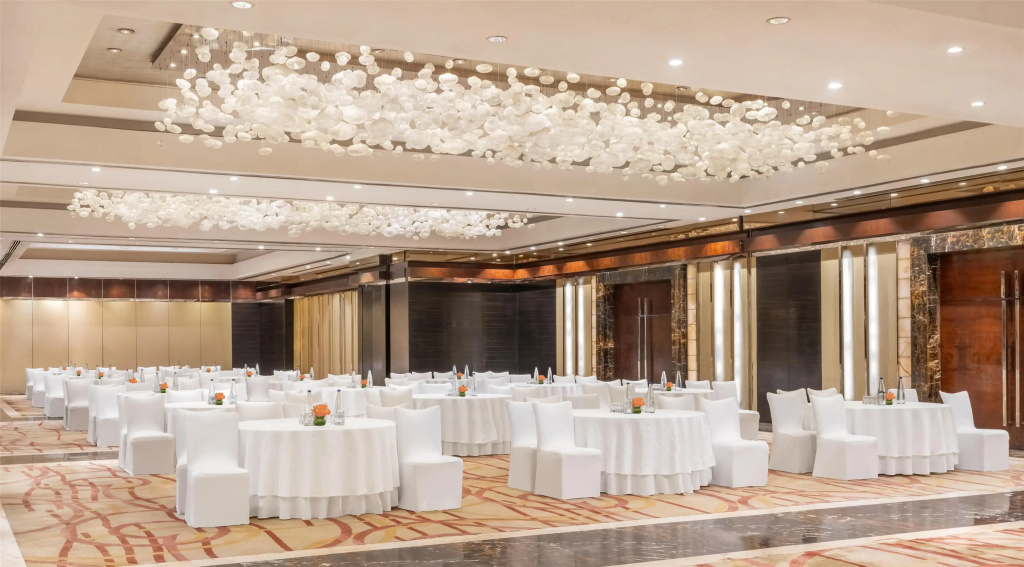 Radisson Blu Plaza Delhi Airport - фото 44