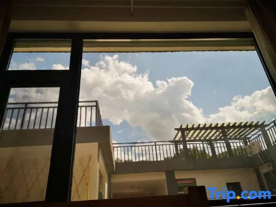 Balcony & Terrace