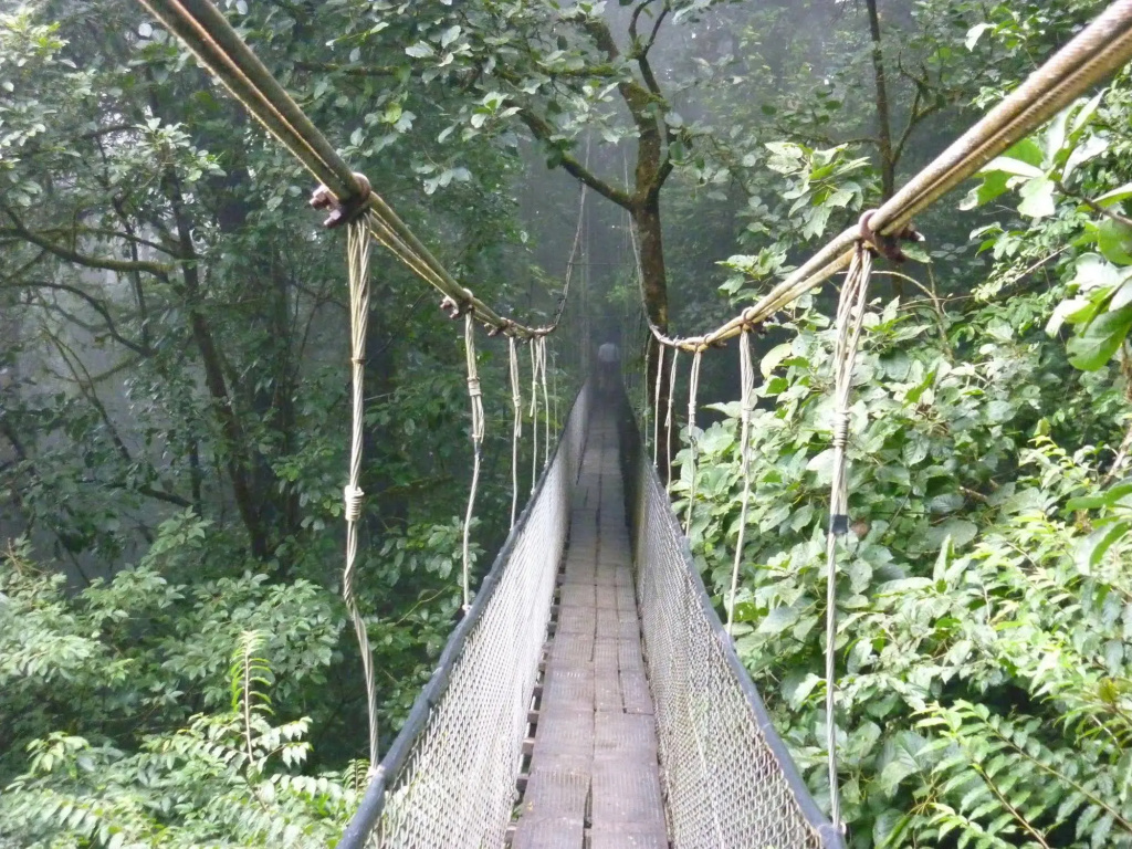 Heliconias Lodge and Rainforest