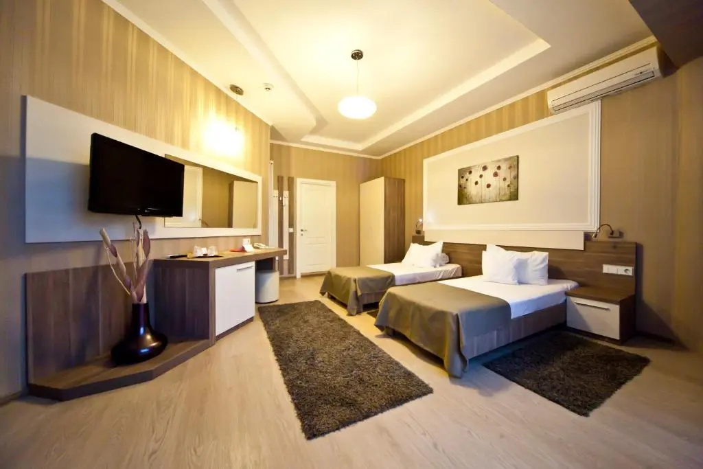Standard Double room (twin beds)