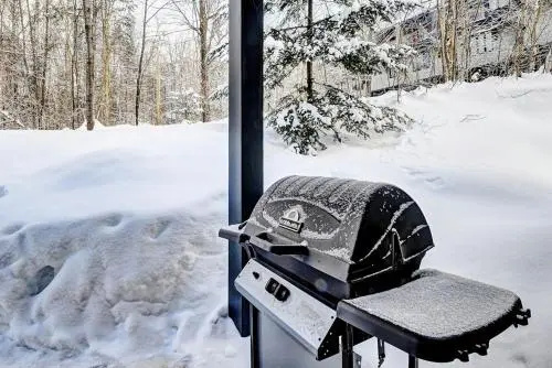 Chalet 585 Chemin du Hibou