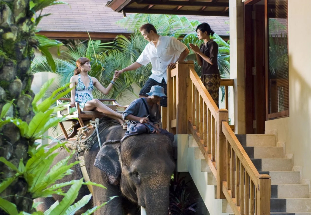Mason Elephant Lodge - Général