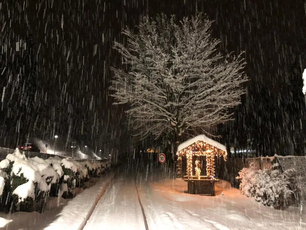 TH Borca di Cadore - Park Hotel Des Dolomites - Général