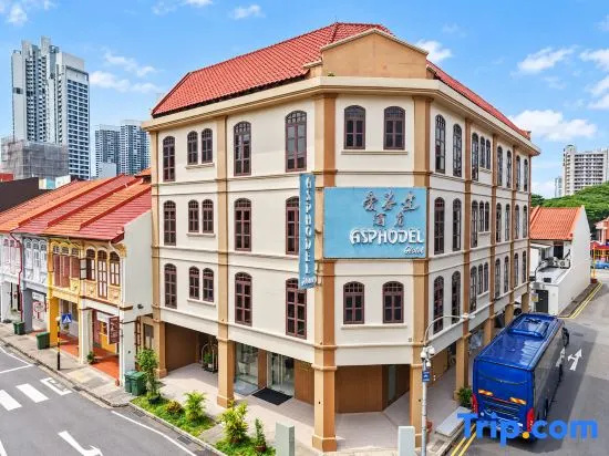 Asphodel Inn, 11 Hrs, Stay From 10PM - 9AM in Singapore