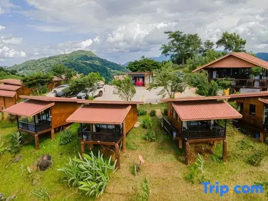 Superior room with mountain view