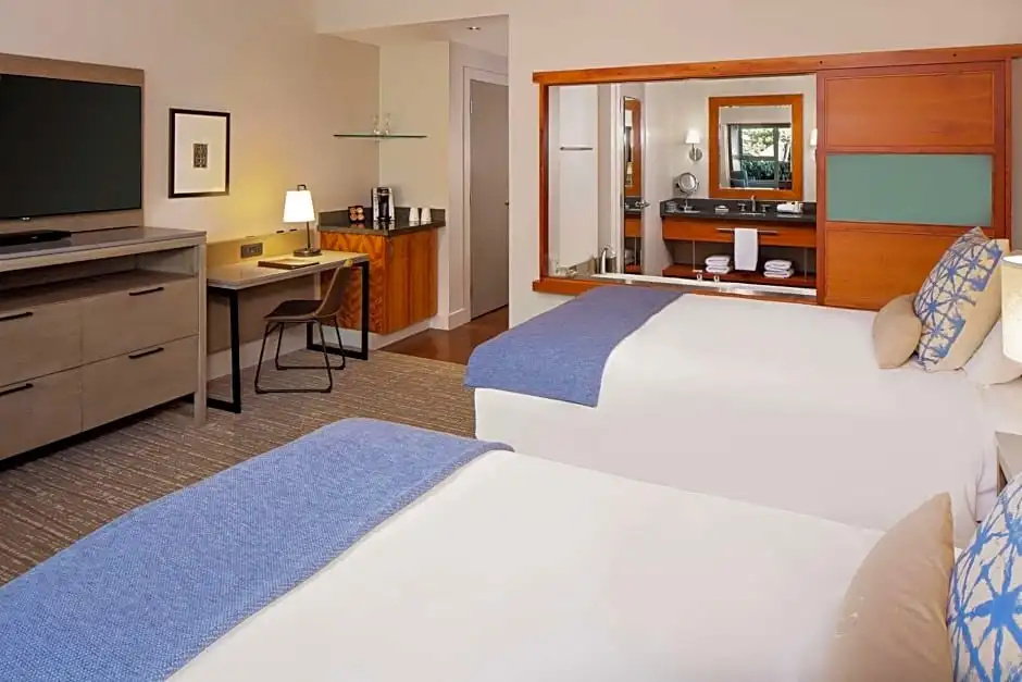 Standard room with view