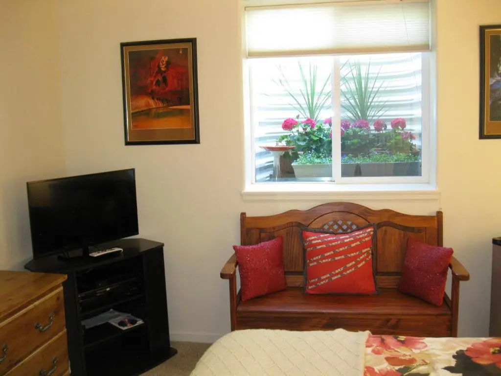 Deluxe Double room (full double bed)