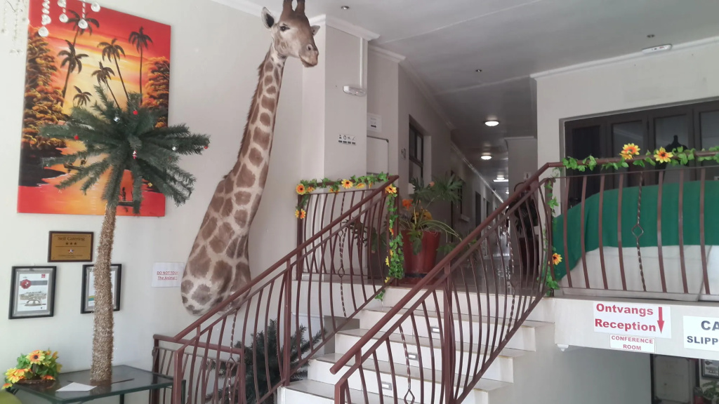Palm Valley Inn - Général