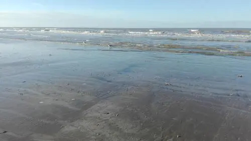 Appartement voor 6 personen in Koksijde met zeezicht - фото 18