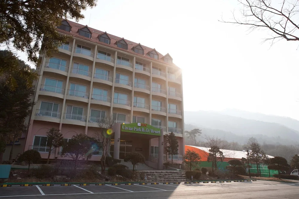 Cp Resort