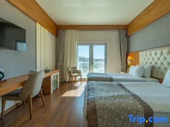 Standard Double room with city view (twin beds)