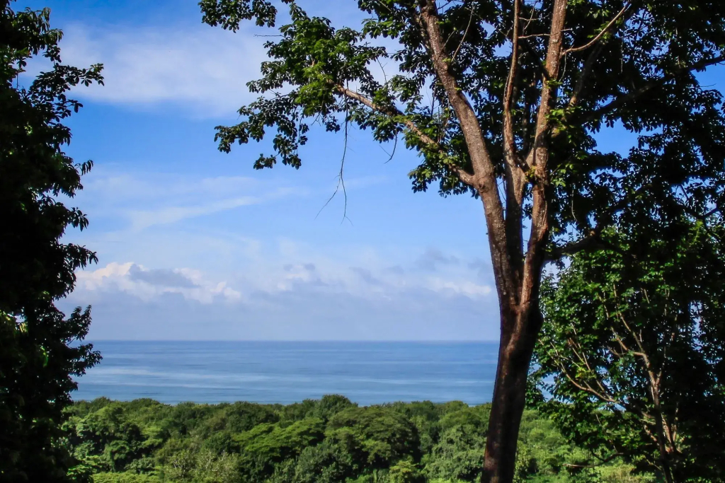 Villa Guanacaste Luxury Resort - фото 39