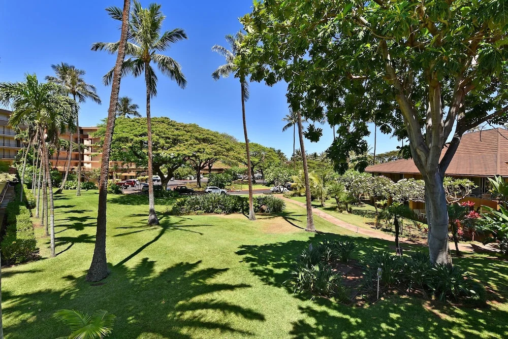Maui Kaanapali S #b247 Studio Bedroom Condo by Redawning