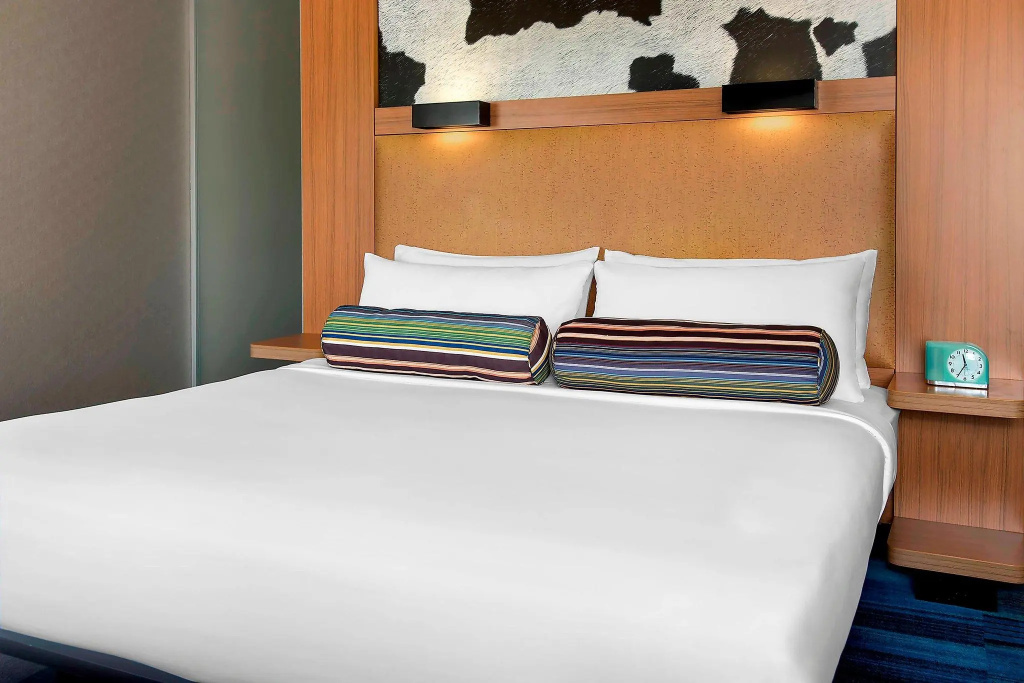 Aloft by Marriott Nashville Franklin - Chambres